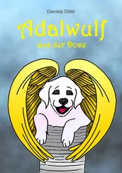 Daniela Dittel - Adalwulf