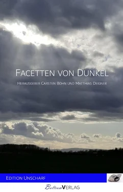 Carsten Bohn Facetten von Dunkel обложка книги