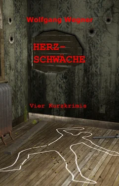 Wolfgang Wegner Herzschwäche обложка книги