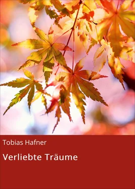 Tobias Hafner Verliebte Träume обложка книги