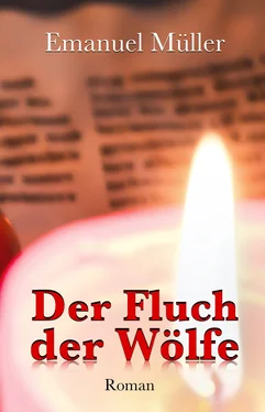 Emanuel Müller Der Fluch der Wölfe обложка книги