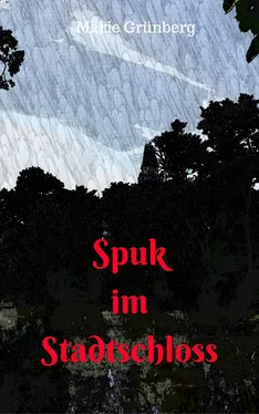Marie Grünberg Spuk im Stadtschloss обложка книги
