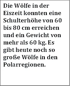 Er blieb stehen und betrachtete das Tier eine Zeit lang erstaunt Der Wolf - фото 12