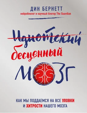 Дин Бернетт Идиотский бесценный мозг. Как мы поддаемся на все уловки и хитрости нашего мозга обложка книги