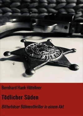 Bernhard Hank Höfellner Tödlicher Süden обложка книги