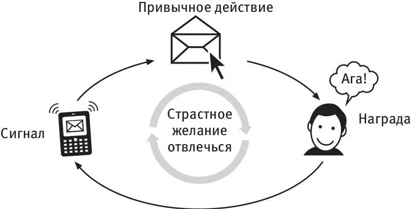 Ученые давно изучают мозг алкоголиков курильщиков и обжор тщательно измеряя - фото 16