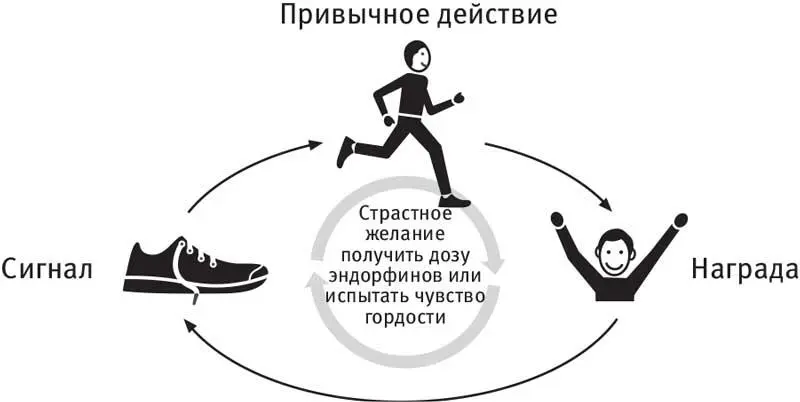 Меня очень беспокоит одна проблема сказал я Вольфраму Шульцу - фото 17