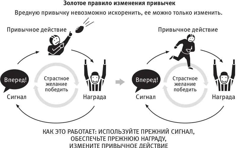 В конце концов система Данджи превратит Бакканирс в одну из лучших команд - фото 20