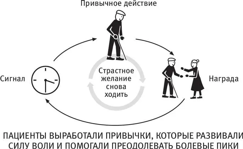 Другие пациенты те кто не писал планов восстановления тоже могли вести - фото 29