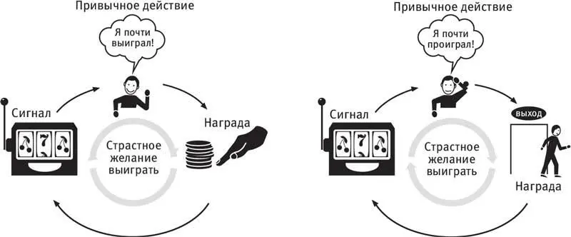 Непонятно отличается ли мозг патологических игроков с рождения или же его - фото 38