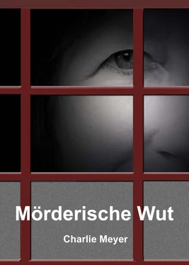 Charlie Meyer Mörderische Wut обложка книги