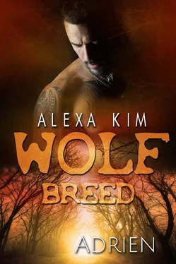 Alexa Kim Wolf Breed - Adrien (Band 8) обложка книги