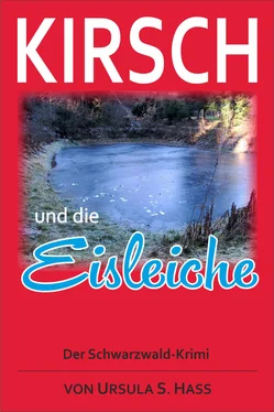 Ursula Hass Kirsch und die Eisleiche обложка книги