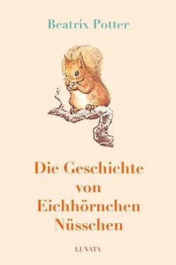 Beatrix Potter Die Geschichte von Eichhörnchen Nüsschen обложка книги