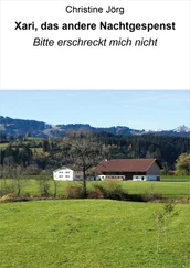 Christine Jörg - Xari, das andere Nachtgespenst