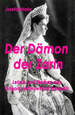 Josef Hahn Der Dämon der Zarin обложка книги