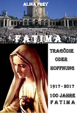 Alina Frey Tragödie oder Hoffnung обложка книги