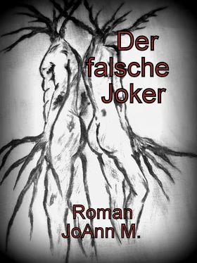 Joann M. Der falsche Joker обложка книги