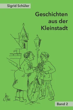 Sigrid Schüler Geschichten aus der Kleinstadt, Band 2 обложка книги