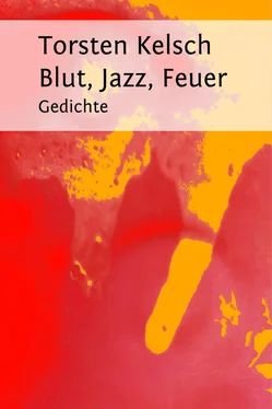 Torsten Kelsch Blut, Jazz, Feuer обложка книги