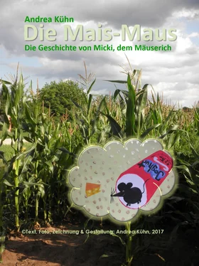 Andrea Kühn Die Mais-Maus обложка книги