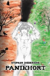 Stephan Diederichs - Panikhort