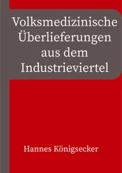 Hannes Königsecker - Volksmedizinische Überlieferungen aus dem Industrieviertel