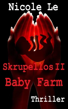 Nicole Le Skrupellos II - Baby Farm обложка книги