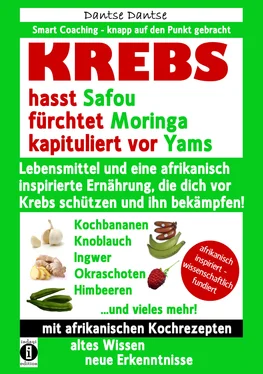 Dantse Dantse KREBS hasst Safou, fürchtet Moringa und kapituliert vor Yams обложка книги