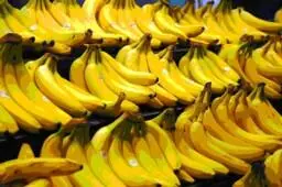 Foto Steve Hopson wikipedia Was sie für die Ernährung bedeuten wo sie - фото 13