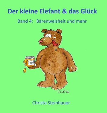 Christa Steinhauer Der kleine Elefant und das Glück обложка книги