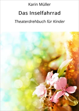 Karin Müller Das Inselfahrrad обложка книги