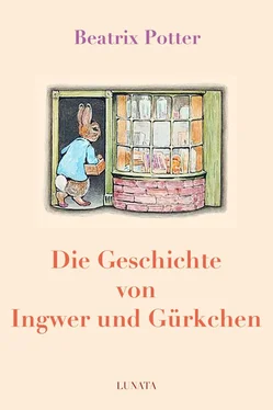 Beatrix Potter Die Geschichte von Ingwer und Gürkchen обложка книги