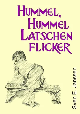Sven E. Janssen Hummel, Hummel, Latschenflicker обложка книги