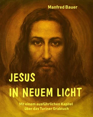 Manfred Bauer Jesus in Neuem Licht обложка книги