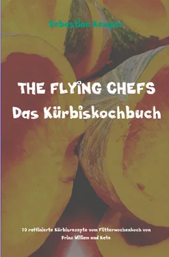 Sebastian Kemper THE FLYING CHEFS Das Kürbiskochbuch обложка книги