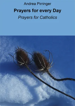 Andrea Pirringer Prayers for every Day обложка книги