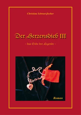 Christina Schwarzfischer Der Herzensdieb 3 обложка книги