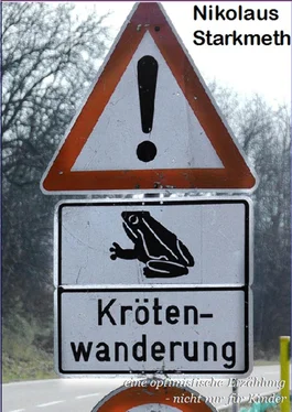 Nikolaus Starkmeth Krötenwanderung обложка книги