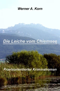 Werner A Korn Die Leiche vom Chiemsee обложка книги