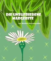 Monika Starzengruber - Die unzufriedene Margerite