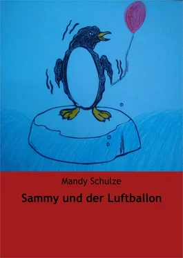 Mandy Schulze Sammy und der Luftballon обложка книги