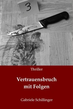 Gabriele Schillinger Vertrauensbruch mit Folgen обложка книги