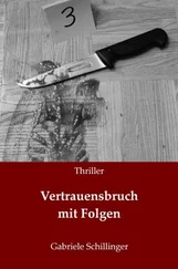 Gabriele Schillinger - Vertrauensbruch mit Folgen