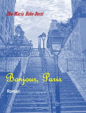 Ilka-Maria Hohe-Dorst Bonjour, Paris обложка книги