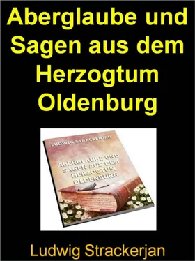Ludwig Strackerjan Aberglaube und Sagen aus dem Herzogtum Oldenburg - 991 Seiten обложка книги