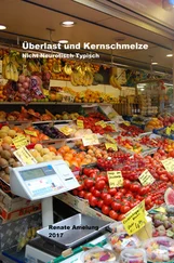 Renate Amelung - Überlast und Kernschmelze