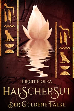 Birgit Fiolka Hatschepsut. Der goldene Falke обложка книги