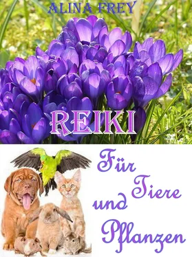 Alina Frey Reiki für Tiere und Pflanzen обложка книги