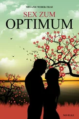 Melanie Weber-Tilse - Sex zum Optimum